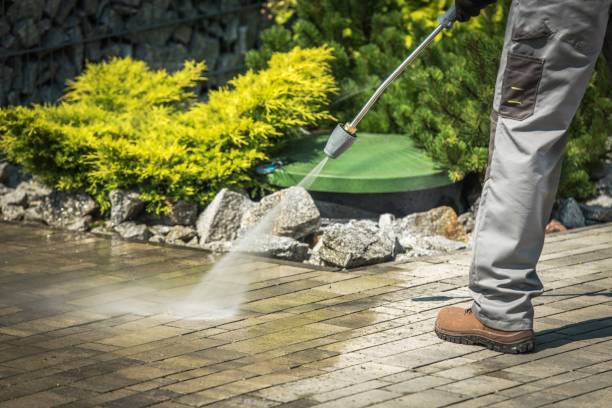 Best Roof Washing  in Old Tappan, NJ